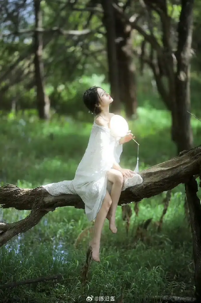 蜘蛛池访问日志的分析方法